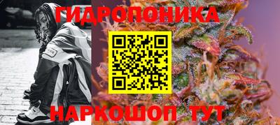дурь Дубна