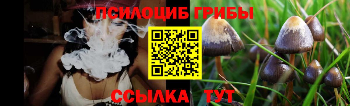 Псилоцибиновые грибы мухоморы Малгобек